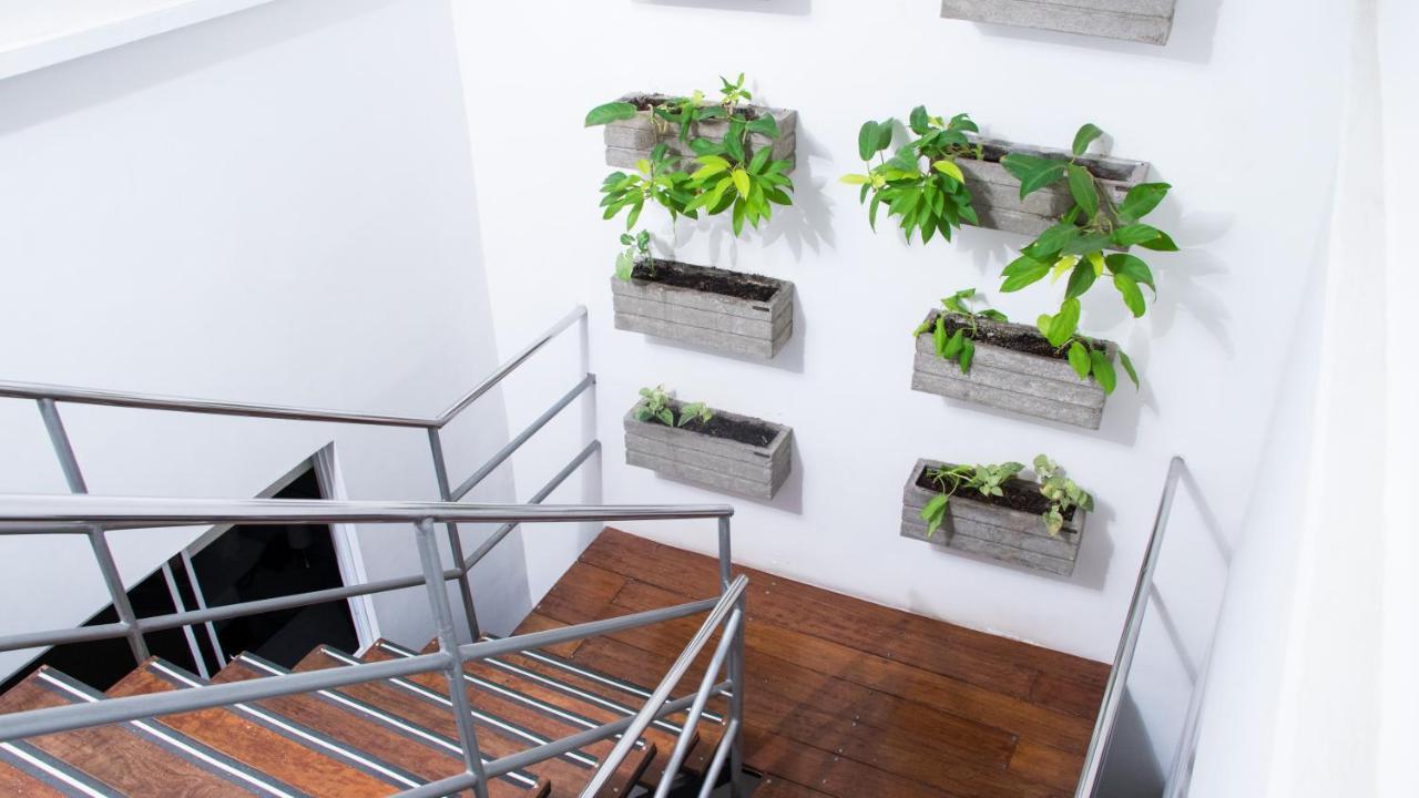Blh Business Loft Hotel Bucaramanga Eksteriør billede